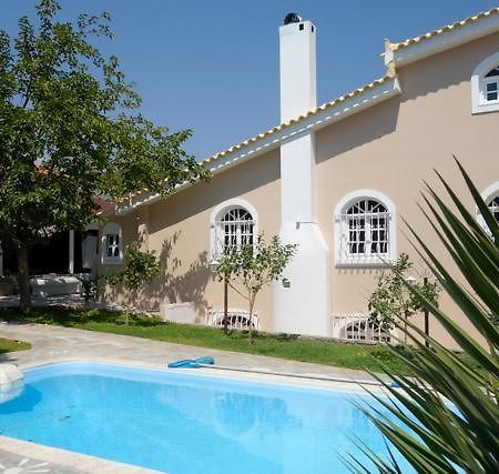 Villa Dendron Agia Marina  Exterior foto