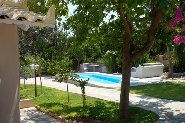 Villa Dendron Agia Marina  Exterior foto