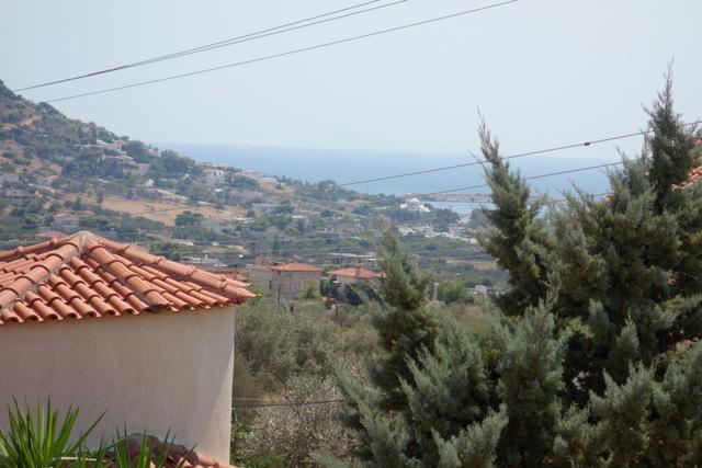 Villa Dendron Agia Marina  Exterior foto